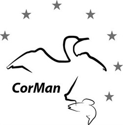 Logo_CorMan_stars